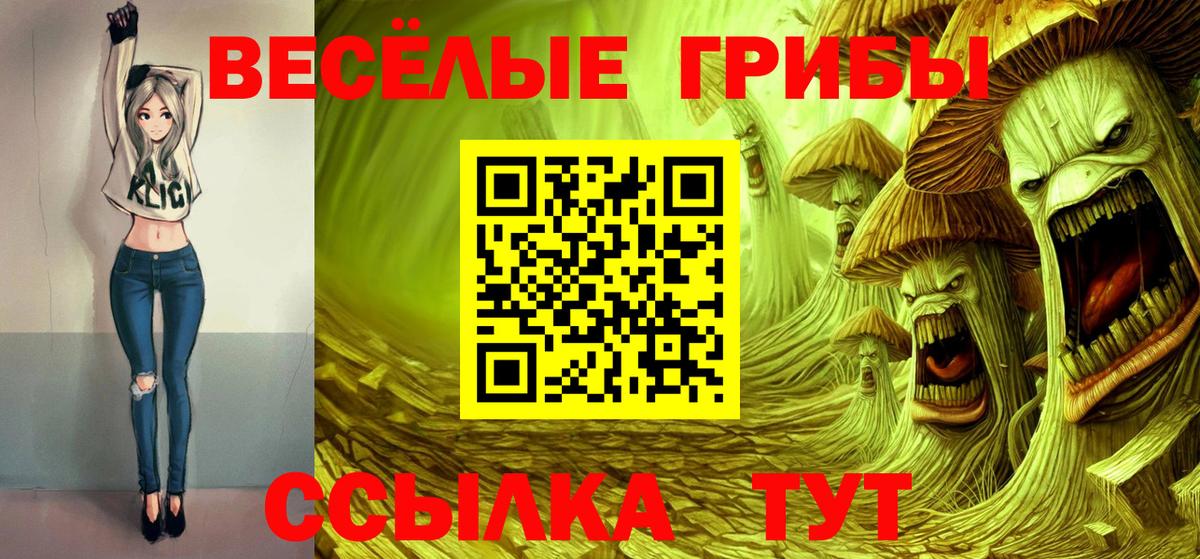 Донецк  Галлюциногенные грибы прущие грибы  Вход с VPN  Галлюциногенные грибы Psilocybe 