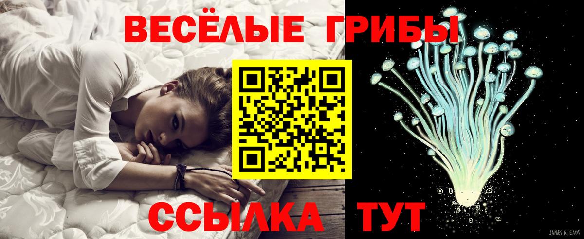 Галлюциногенные грибы прущие грибы Донецк